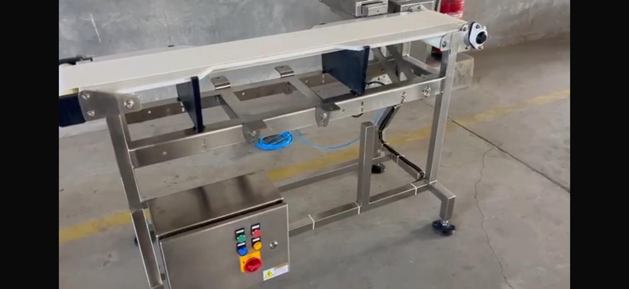 Mobile conveyor / inspection station.